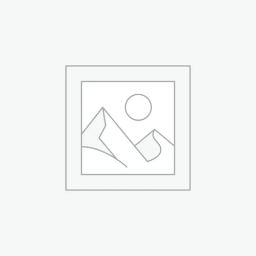 Carolina Panthers CKSWS2489